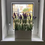 Zaubertal - Viel Raum - 86m2 Fuer Familie, & Arbeit Nahe Der Stadt *