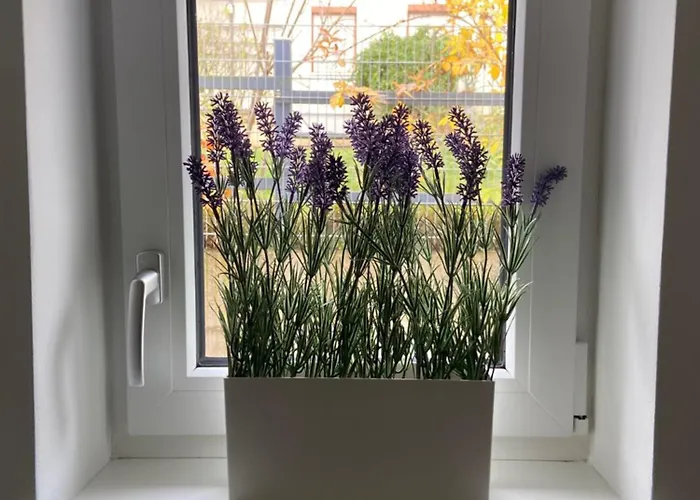 Zaubertal - Viel Raum - 86m2 Fuer Familie, & Arbeit Nahe Der Stadt *