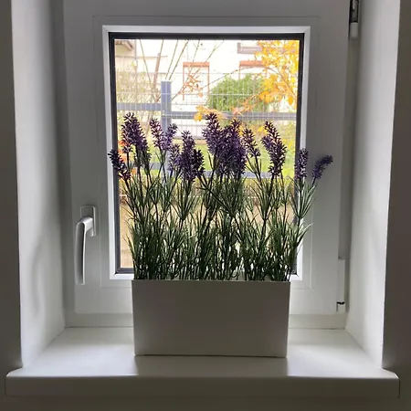 Zaubertal - Viel Raum - 86m2 Fuer Familie, & Arbeit Nahe Der Stadt *